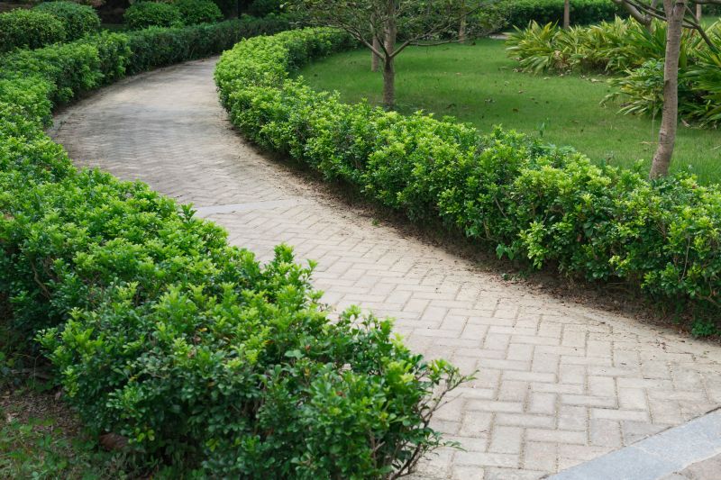 How Professional Paving Adds Value To Your Property